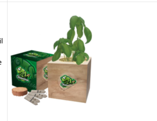 Ready2Grow D2L Desktop Cube Garden